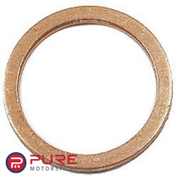 Fuel Filter Washer Kit