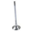 Exhaust+Valve