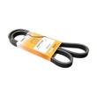 Serpentine+Belt