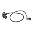Crank+Sensor