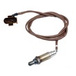 Oxygen+Sensor