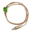 Oxygen+Sensor