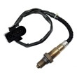 Oxygen+Sensor