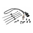 Oxygen+Sensor