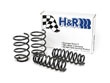 H%26amp%3BR+Sport+Springs
