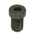 Brake+Rotor+Screw