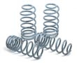 H%26amp%3BR+OE+Sport+Springs