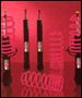 Vogtland Sport Suspension Kit