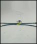 Stainless Steel Brake Lines