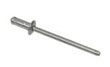 Rivet